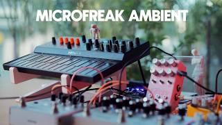 Arturia Microfreak + Chase Bliss Audio LOSSY | Ambient synth music for relaxation