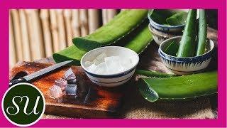 DIY Sun Damaged Skin Repair | How to naturally heal and repair your skin