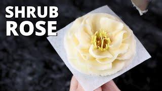 How to pipe buttercream shrub rose  [ Cake Decorating For Beginners ]