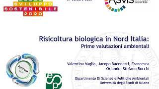 PILLOLE DI SOSTENIBILITA' - Confronto tra diverse tecniche di coltivazione del riso biologico