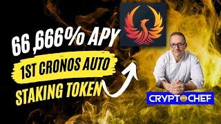 EARN 66,666% APY with Phenix Finance! First AUTO STAKING Project on CRONOS! What YOU Need to KNOW!