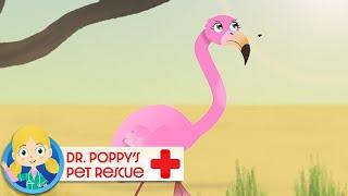 Uma the Flamingo| Doctor Poppy - Animals For Kids | Cartoon Animals