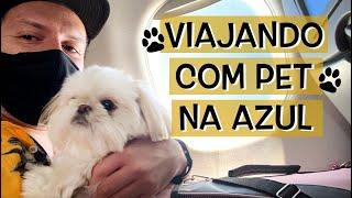 Viajando com Cachorro na Cabine do Avião | Azul