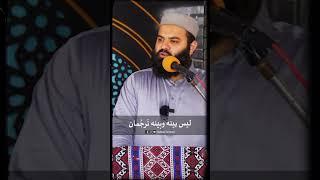 Ek Zaat Hai - ایک ذات ہے - Short Reminder by Shaykh Adeel Arfeen