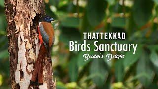 Thattekkad Bird Sanctuary,  Birder's Delight,  Birdwatching, Ernakulam, Forest