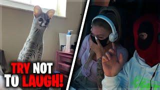 TRY NOT TO LAUGH CHALLENGE 4.0 mit KNATTERLIE und OGI  (mit BESTRAFUNG) | Knattercrew - Highlights