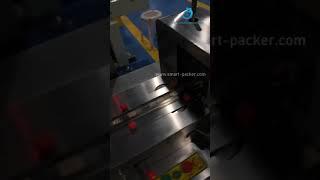 Candy Sweet Bar Bowl Sortieren Fütterung Flow Bag Packmaschine Testvideo