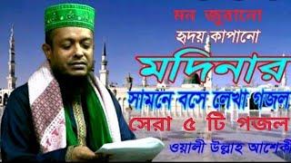 হ্নিদয় জুড়ানো ওয়ালীউল্লাহ আশেকীর সেরা ৫ টি গজল।  Waliullah Aseqir Best Gojol. New Islamic gojol