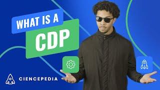 What is a Customer Data Platform (CDP)? | CIENCEPEDIA