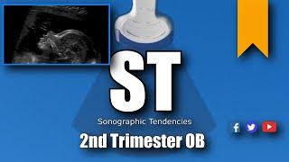 2nd Trimester OB scan