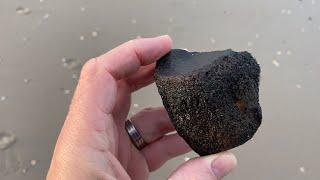 Finding mammoth tusk on the beach: beachcombing on Holland's North Sea coast