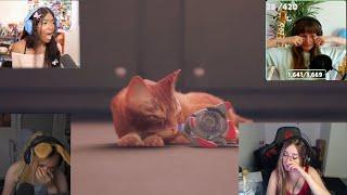 Stray game - streamers react to disconnections B-12(cat lost friend)