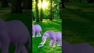 #shorts #shortsvideo #shortsyoutube #greenscreen #greenscreenanimals #animals #elephant #shortsviral