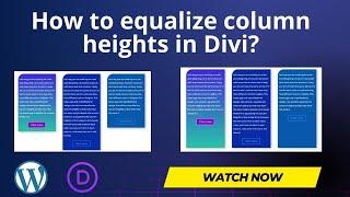 How to equalize column heights in the Divi Theme without any custom CSS