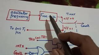 Timer/Counter Operation/8051 Microcontroller