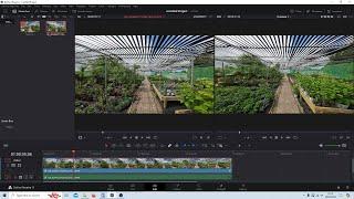 DaVinci Resolve: Wide Angle Lens Video Correction. De Fish A Video Clip.