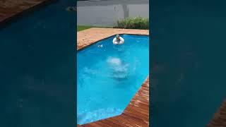 Brincando na piscina ‍️