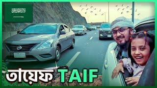 তায়েফ নবীজির স্মৃতিময় পুণ্যভূমি - Taif The Most Beutiful City in Saudi Arabia 