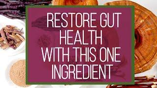 Restore Gut Health Supplement | ONE Ingredient | Jovanka Ciares