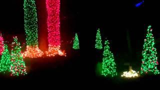 Ahwatukee Foothills Xmas Lights 2011