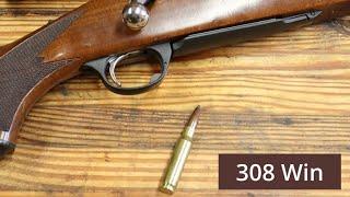 308 Winchester, Workhorse of The Shooting World