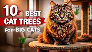 10 Best Cat Trees for Big Cats