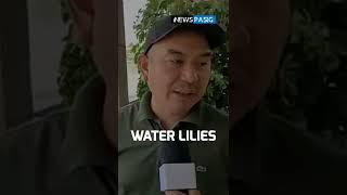 Para sa mas malinis na ilog Pasig | iNews Pasig