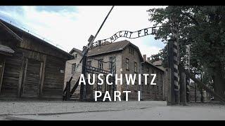 Холокост. Евреи - народ, который массово уничтожали.  Часть 1 "Аушвиц"