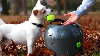 The PetSafe® Automatic Ball Launcher