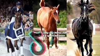 The Cutest HORSES Equestrian TikTok Compilation #219