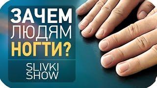 Зачем людям ногти? [SLIVKI SHOW]