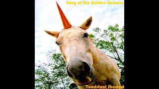 Toadstool Shadow - Song of the Golden Unicorn (Official Music Video)