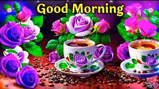 Good Morning status , Good Morning shayari  , Good Morning video  , Good Morning