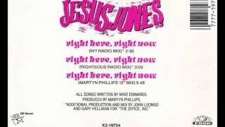 Jesus Jones - Right Here, Right Now (Martyn Phillips 12" Mix)