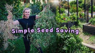 The Easiest way to SAVE SEEDS for Never-ending Free Plants  with 10 examples!