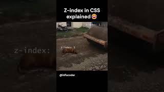 z-index be like: 'I’m not in the front, I’m in the FRONT front! #funny  #CodeLife #CSSFlex 