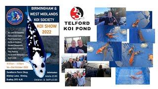 T.K.P. Telford Koi Pond - Video 84 – B'ham & West Mids Koi Show 2022