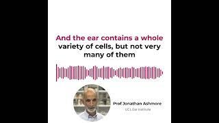 Professor Jonathan Ashmore on uncovering the hidden workings of the ear