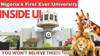 Inside Nigeria's TOP UNIVERSITY| Campus Tour| Current state of THE UI ZOO.