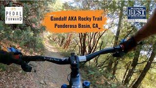 Gandalf Mountain Bike Trail AKA Rocky Trail - Ponderosa Basin, CA outside of Oakhurst, CA