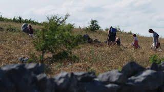 An Bhoirinn | TG4 | A Year through the seasons in the majestic natural beauty of the Burren