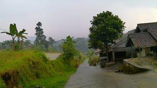 Walking during light rain in a remote village in West Java, Indonesia