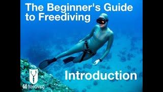 CARA MUDAH BELAJAR FREEDIVE | MENYELAM BEBAS