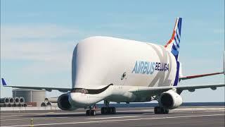 Airbus A330-743L Beluga XL Takes Off from Gibraltar International Airport.