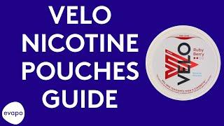VELO nicotine pouches guide