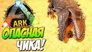 Опасная Чика! Самый быстрый Гигантозавр в ARK Survival Evolved.