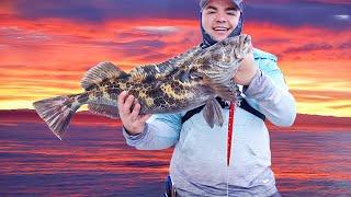 Slow pitch jigging for Baja's GRANDE deepwater LINGCOD