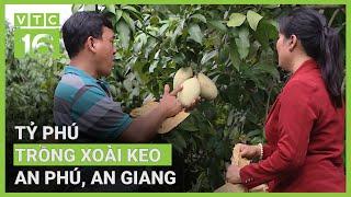 Bán xoài từ châu Á sang Bắc Mỹ, nông dân An Giang kiếm bộn tiền | VTC16