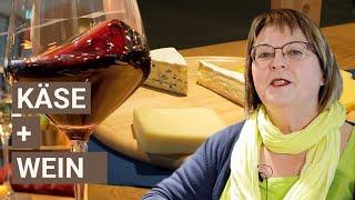 Den richtigen Wein finden: Käse - Food Pairing