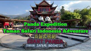 Panda Expedition: Taman Safari Indonesia Adventure - Moonnix Walks